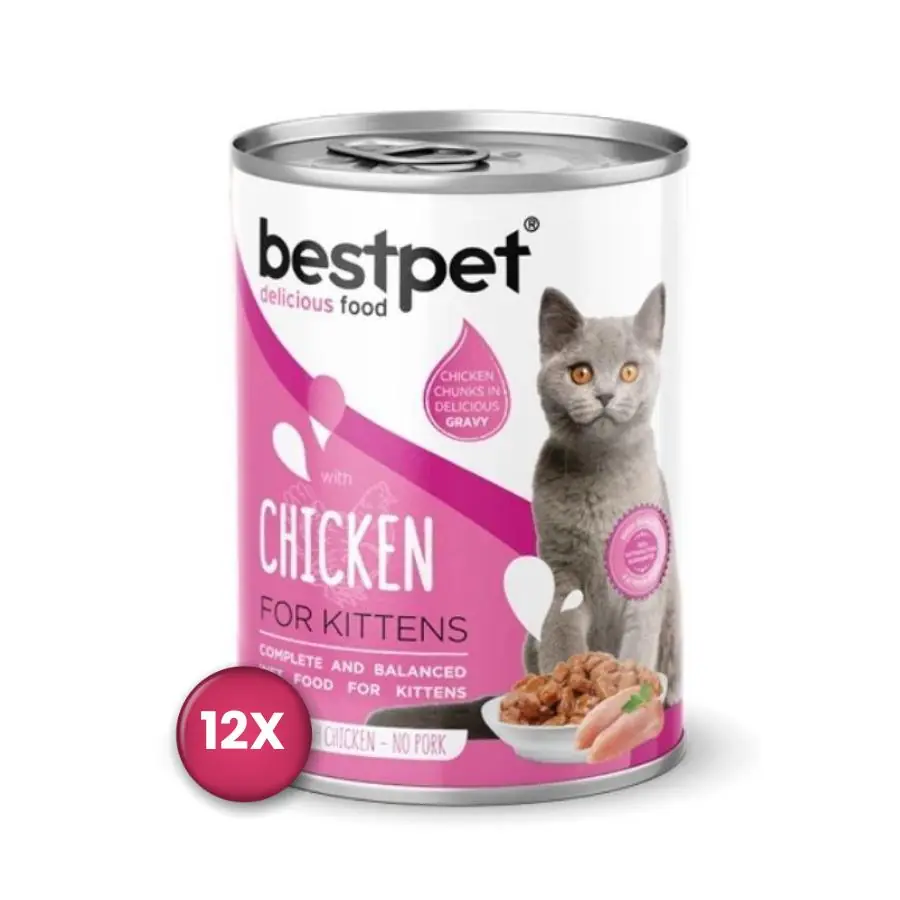 Bestpet Jöle İçinde Parça Etli Tavuklu Konserve Yavru Kedi Maması