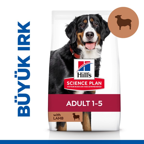 Hills Büyük Irk Kuzu Etli Yetişkin Köpek Maması