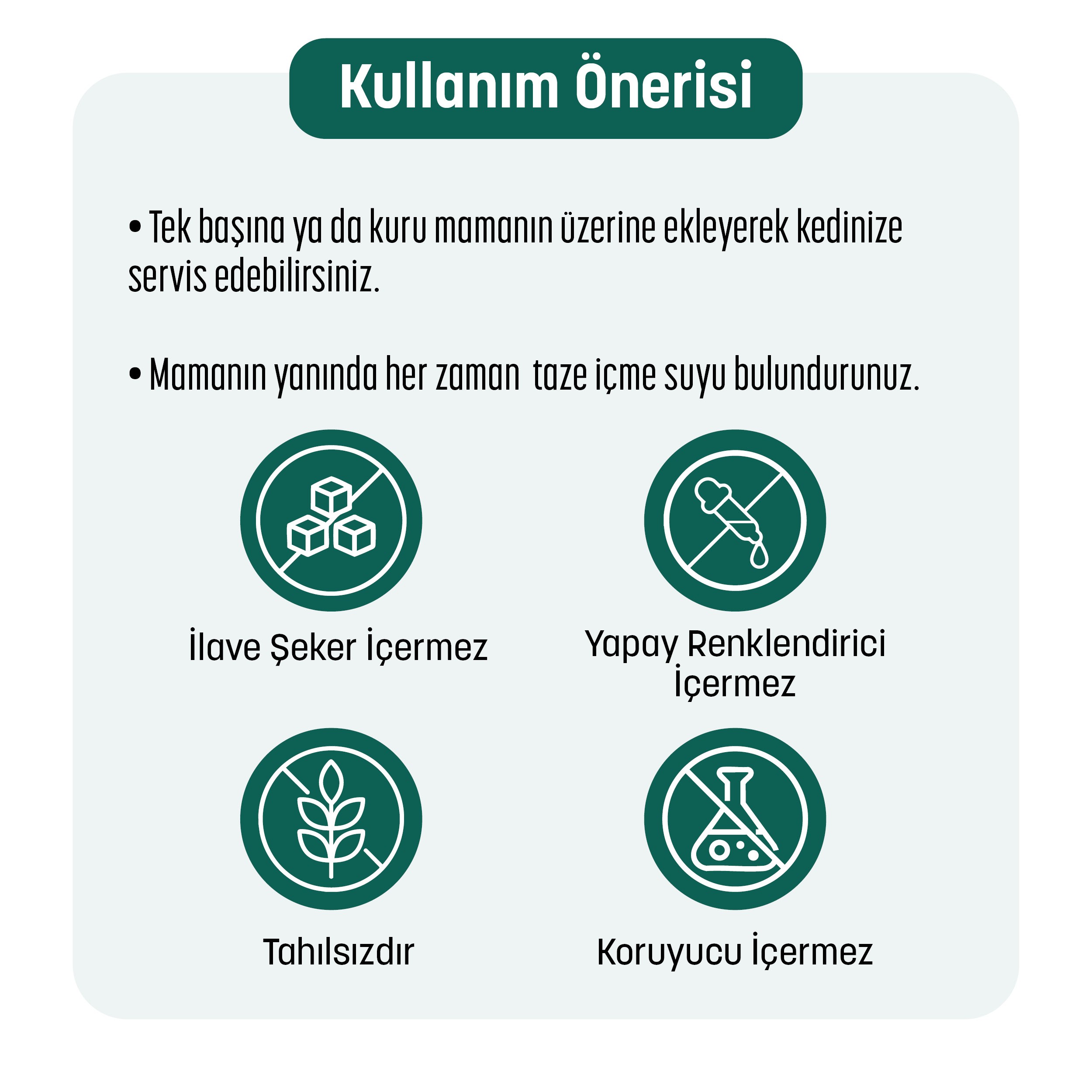 PetzzCats Ton Balığı & Kalamar Konserve Kedi Maması