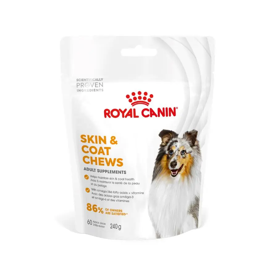 Royal Canin Yetişkin Köpekler İçin Deri ve Tüy Sağlığını Destekleyen Tamamlayıcı Ödül Maması