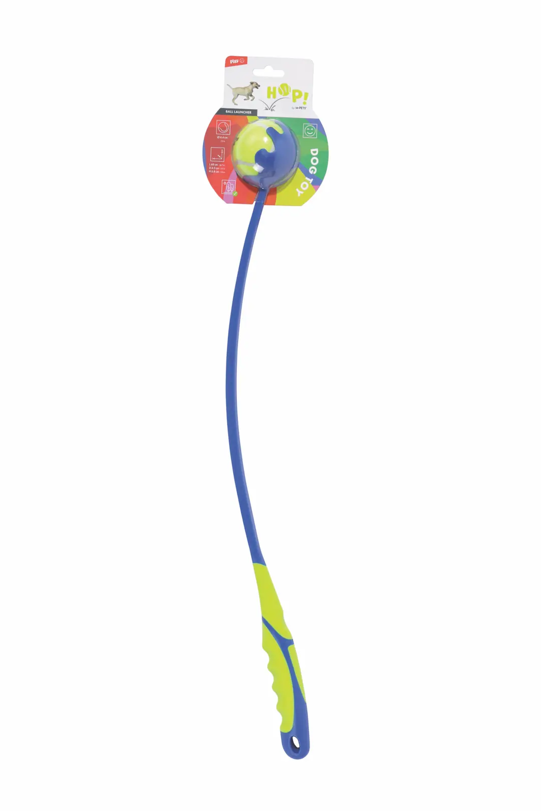 Boxer Irkı: Özellikleri, Beslenme Rehberi ve İpuçları 