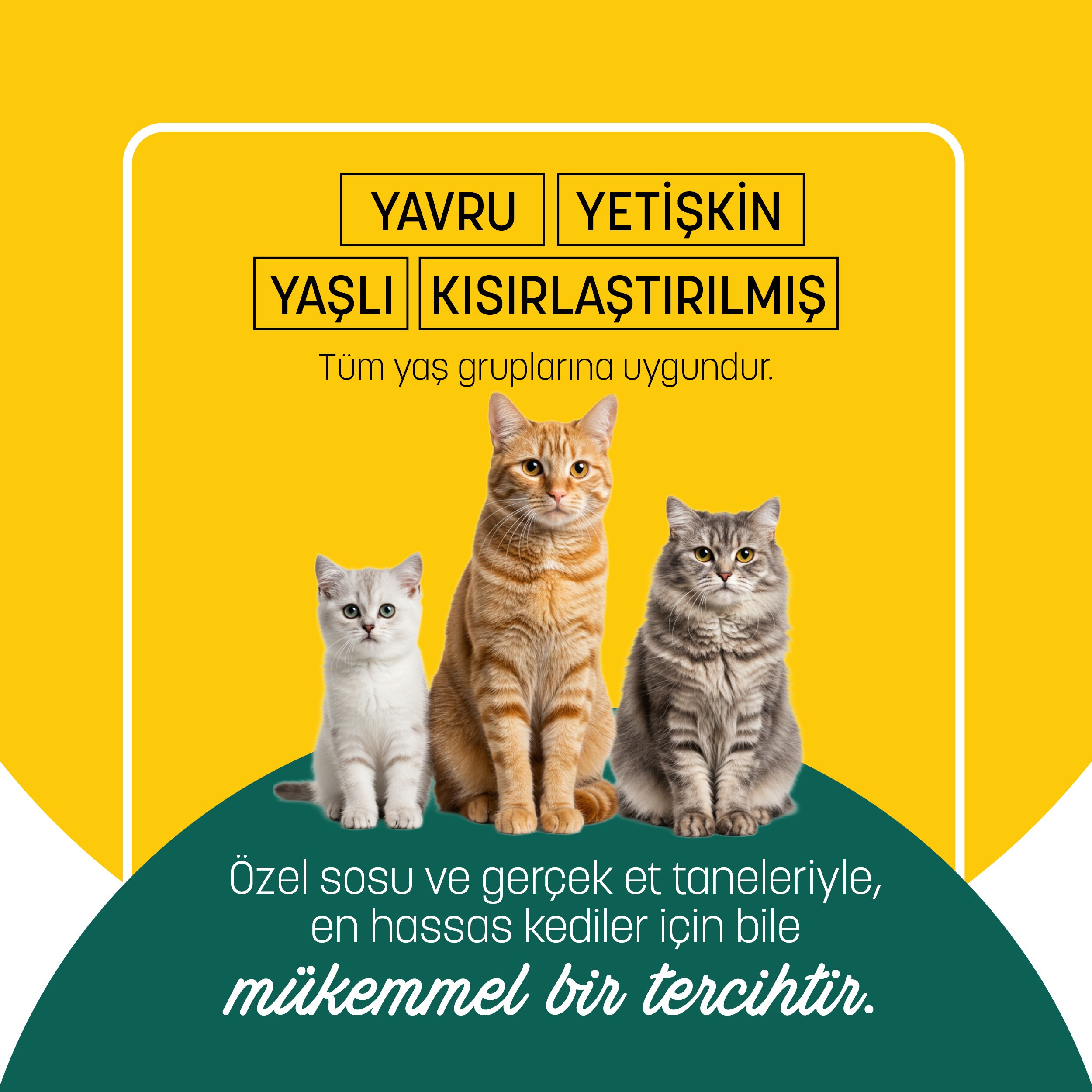 PetzzCats Ton Balığı & Kalamar Konserve Kedi Maması