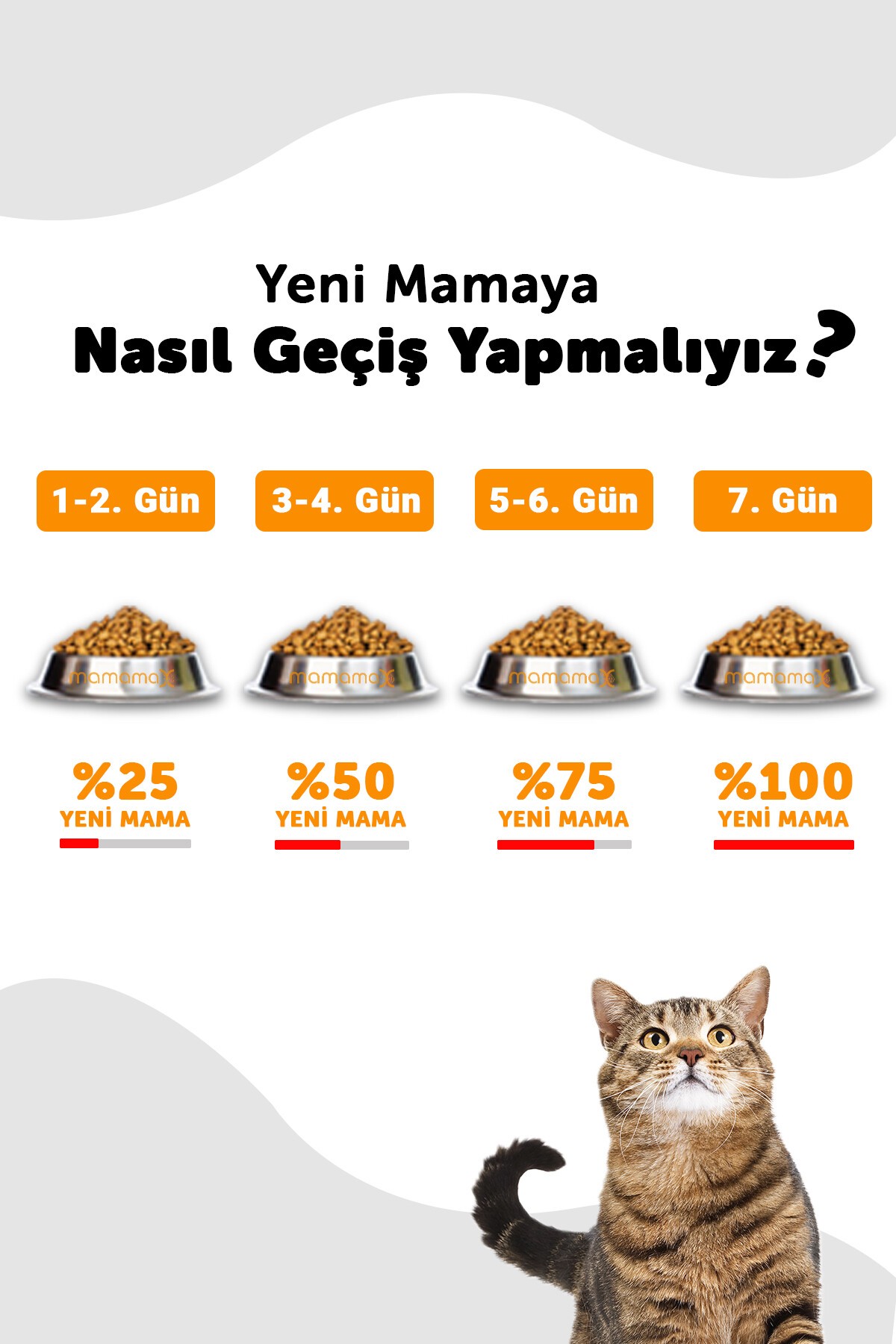 Lavital Sterilised Somonlu Kısırlaştırılmış Kedi Maması
