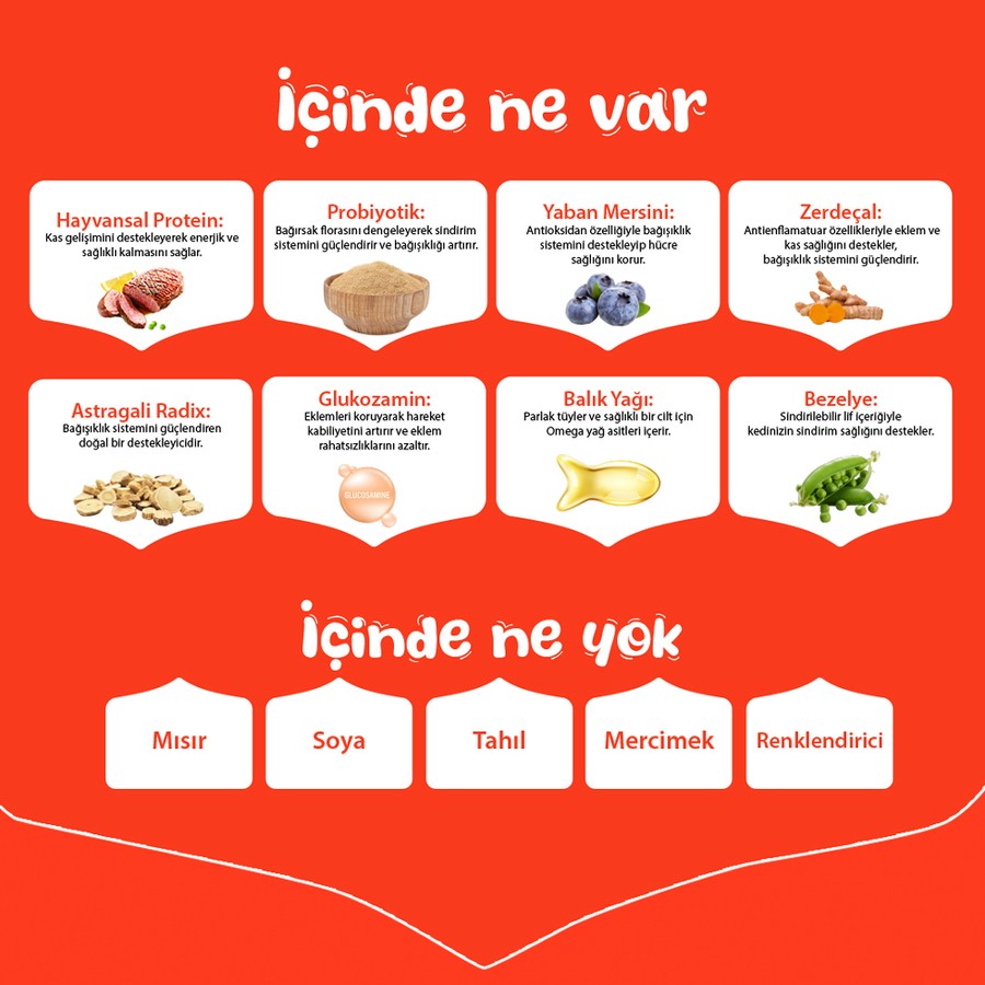Wanpy Ördekli Tahılsız Yetişkin Köpek Maması