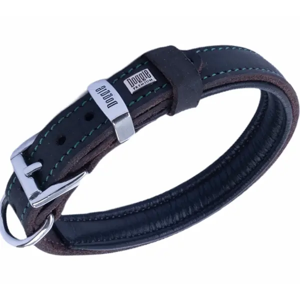 2025 İçin En Kapsamlı Köpek Aksesuar Satın Alma Rehberi 