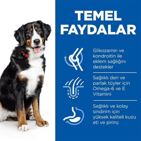 Hills Büyük Irk Kuzu Etli Yetişkin Köpek Maması