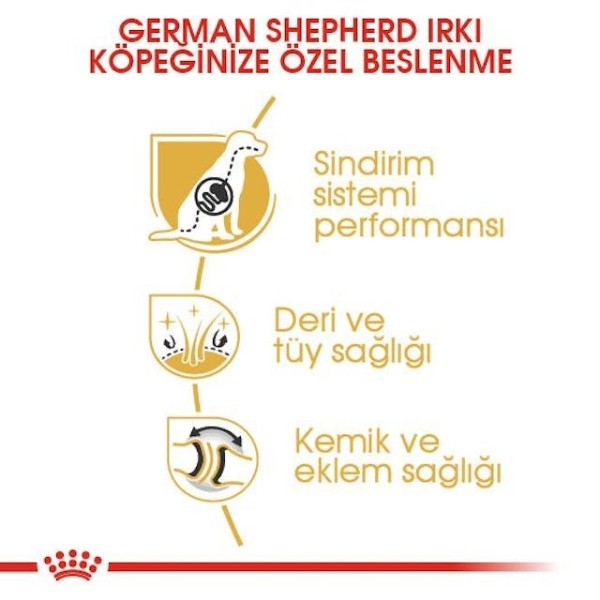 Royal Canin German Shepherd Adult Yetişkin Köpek Maması