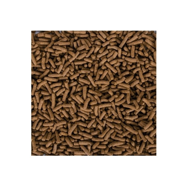 Tropical Biorept Supreme Adult Yetişkin Kaplumbağa Yemi