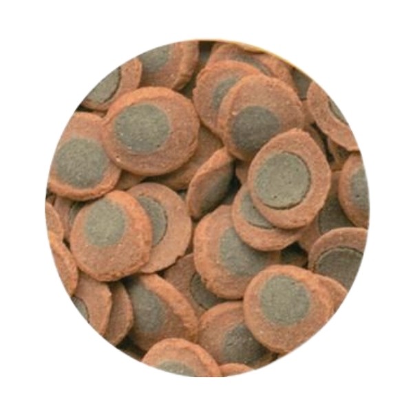 Tetra Pleco Spiriluna Wafers Bitkisel Dip Balık Yemi