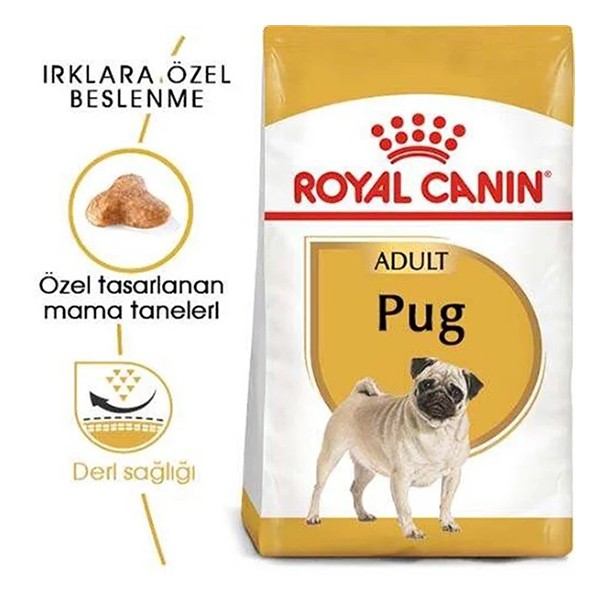 Royal Canin Pug Adult Yetişkin Köpek Maması