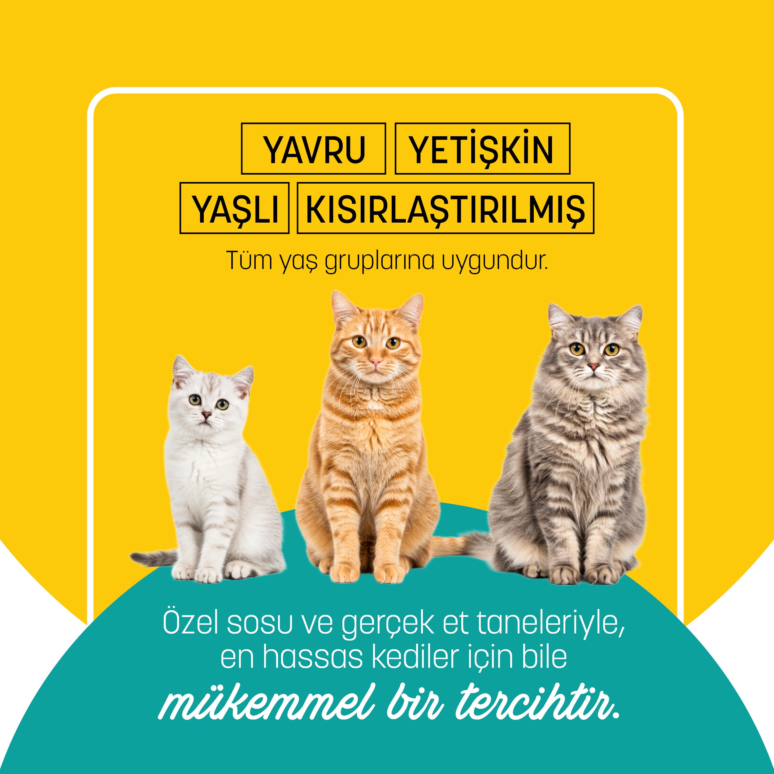 PetzzCats Ton Balığı Konserve Kedi Maması