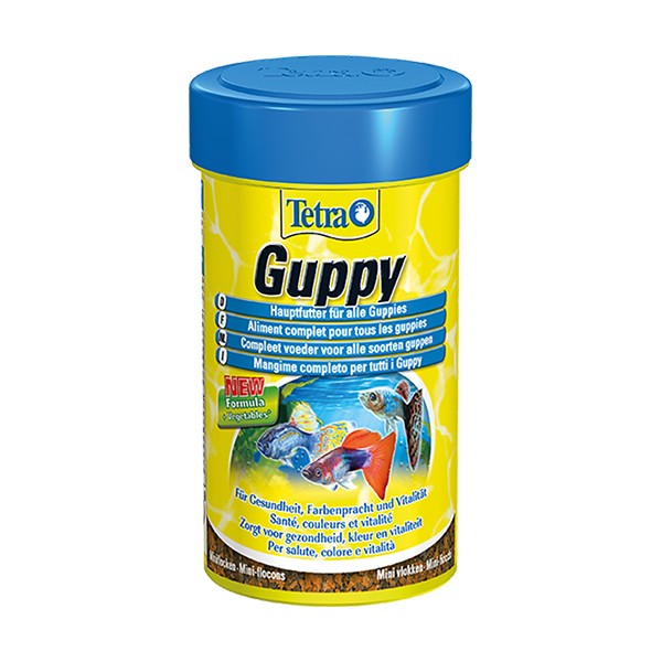 Tetra Guppy Lepistes Akvaryum Balık Yemi