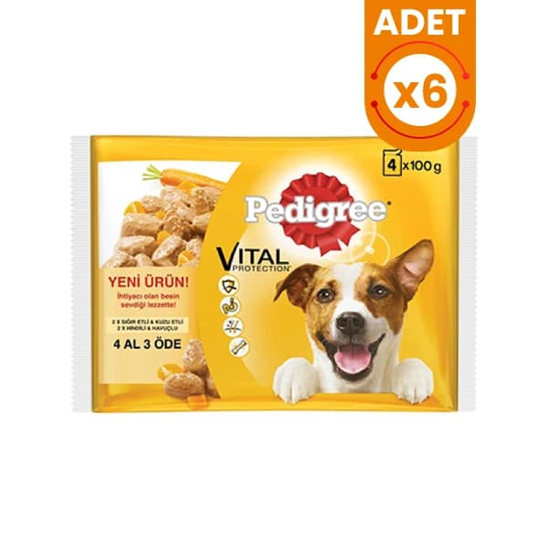 Pedigree Mama ile Köpeklerde Cilt ve Tüy Sorunlarına Etkili Çözümler 