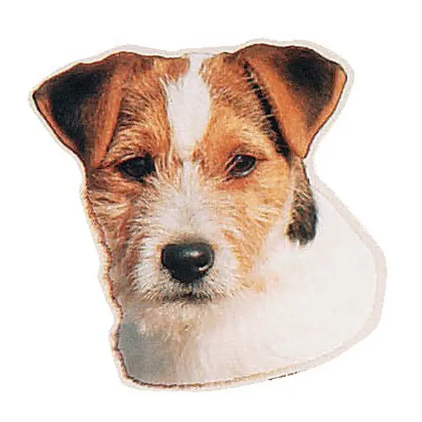 Trixie St-Jack Russel Köpek Çıkartması