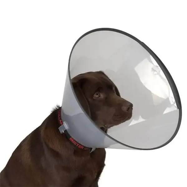 Dermo-Vet Köpek Elizabet Yakalığı