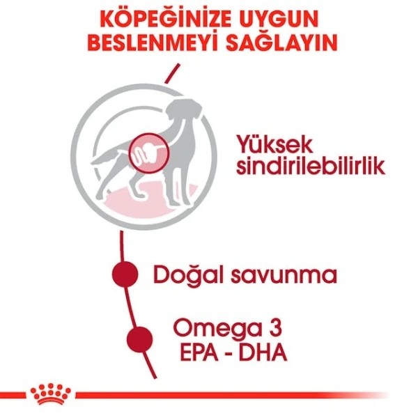Royal Canin Medium Adult Gravy Yetişkin Konserve Köpek Maması