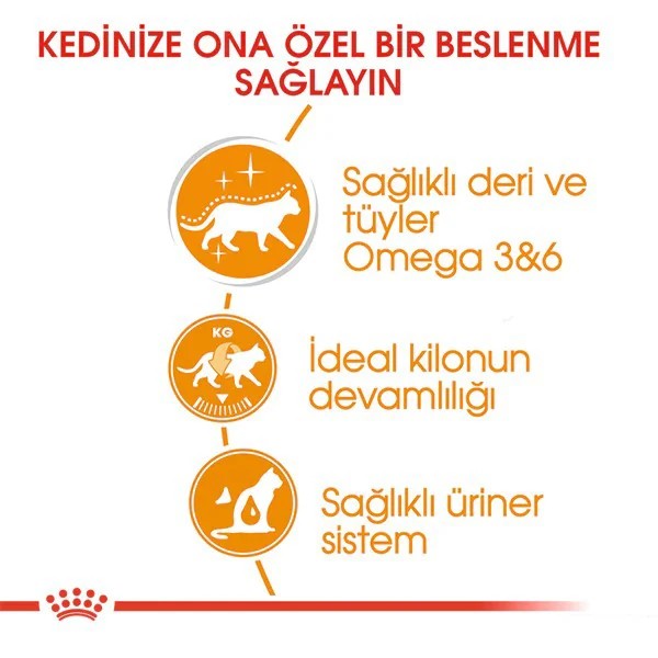 Royal Canin İntense Beauty Jelly Pouch Konserve Kedi Maması