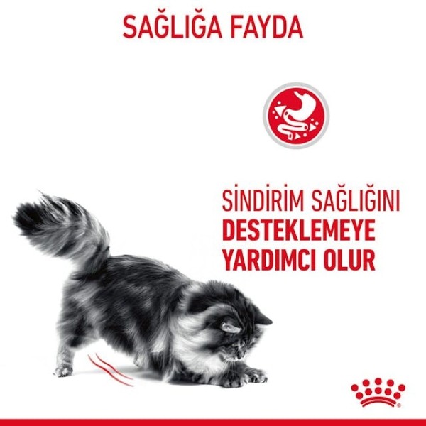 Royal Canin Digestive Sensitive Gravy Pouch Kedi Maması