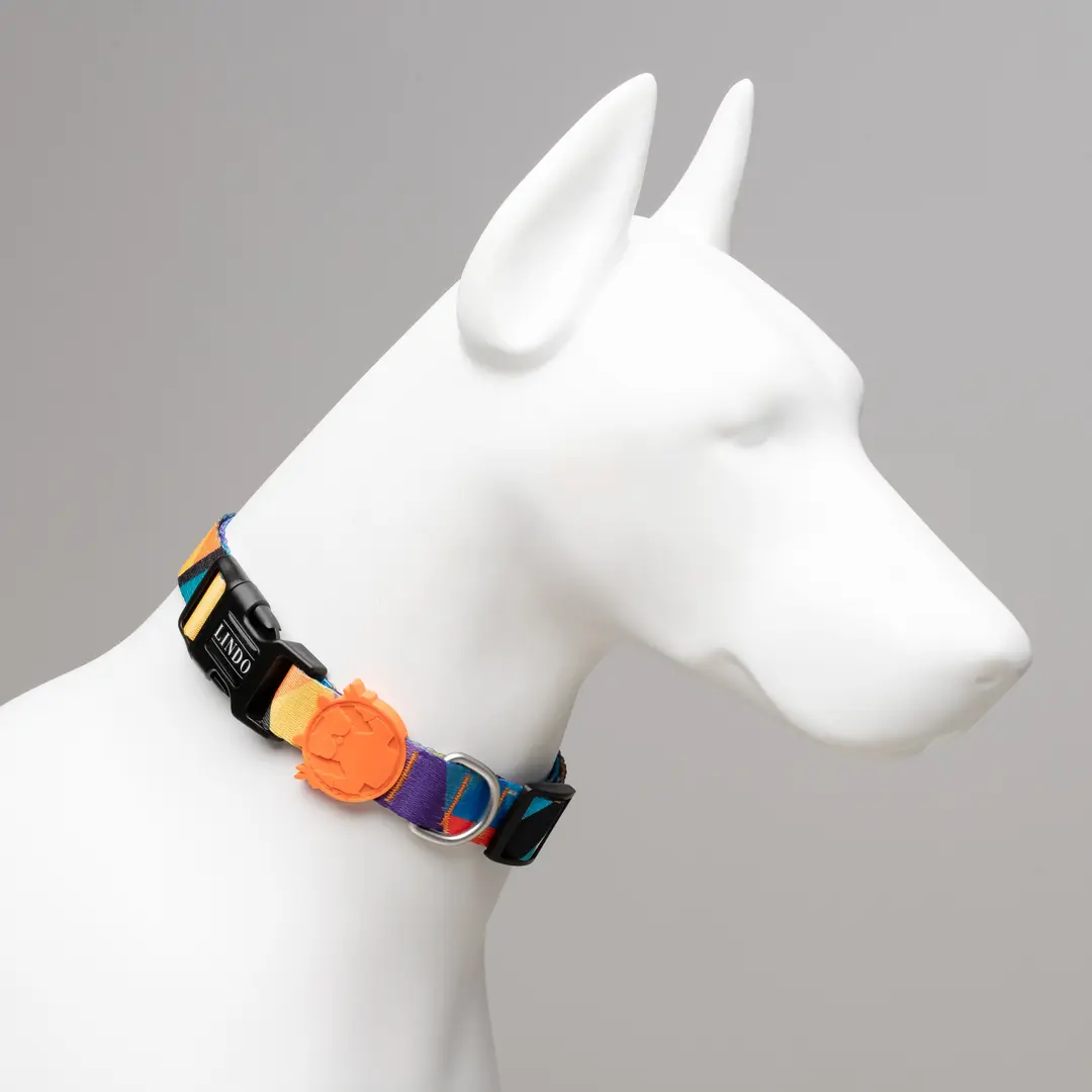 Detaylı Lindo Dogs Aksesuar İncelemesi: Karşılaştırma ve Yorumlar 