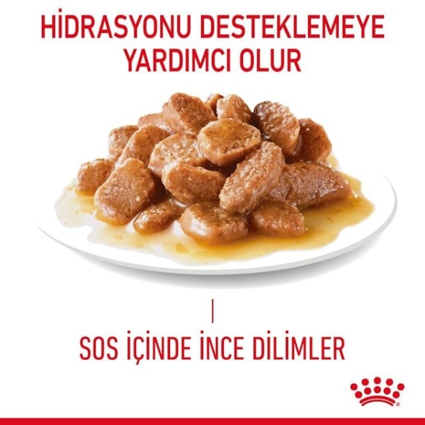 Royal Canin Digestive Sensitive Gravy Pouch Kedi Maması