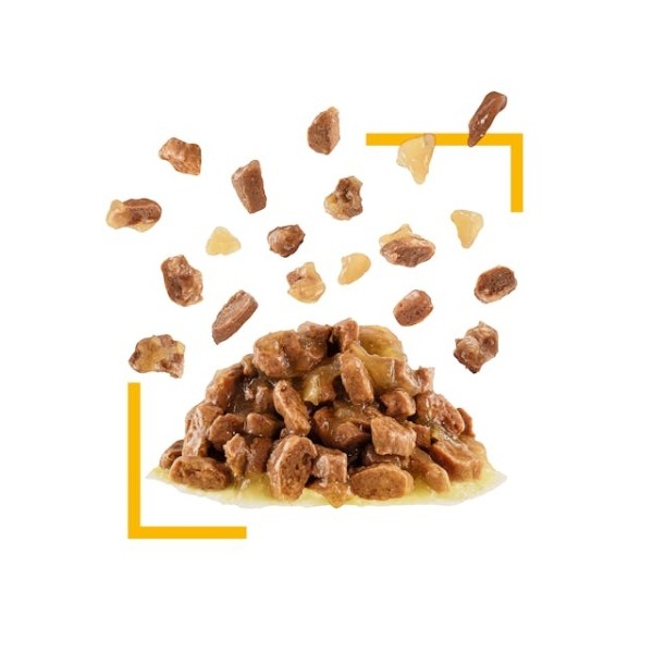 Royal Canin Sensory Taste Pouch Yetişkin Konserve Kedi Maması