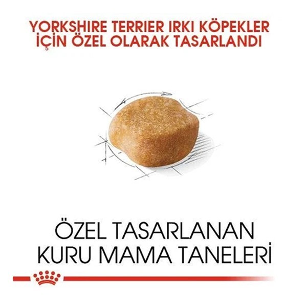 Royal Canin Yorkshire Terrier Adult Yetişkin Köpek Maması