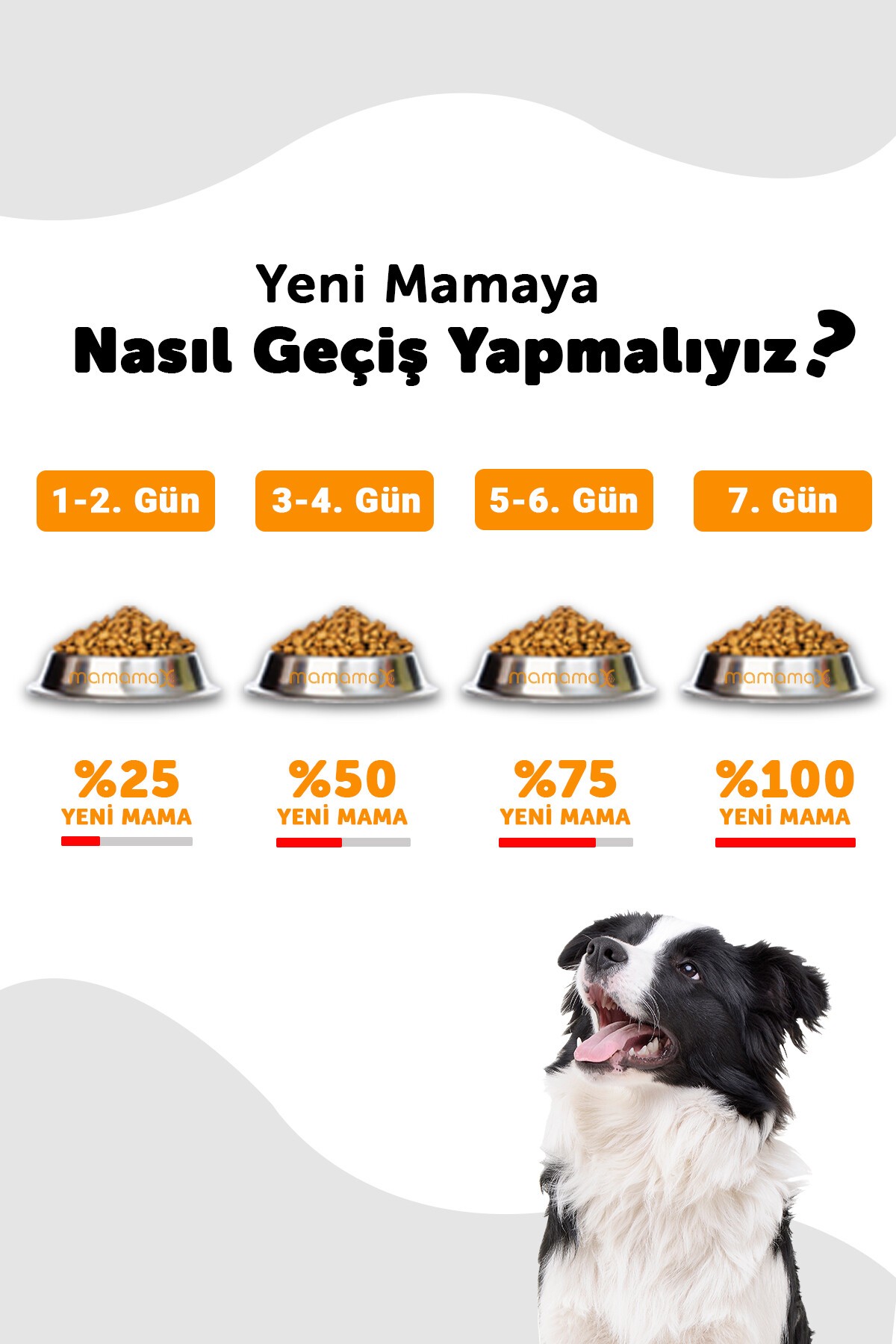 Lavital Orta Irk Somonlu Yetişkin Köpek Maması