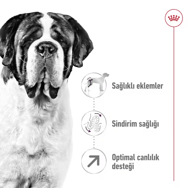 Royal Canin Giant Adult Dev Irk Yetişkin Köpek Maması