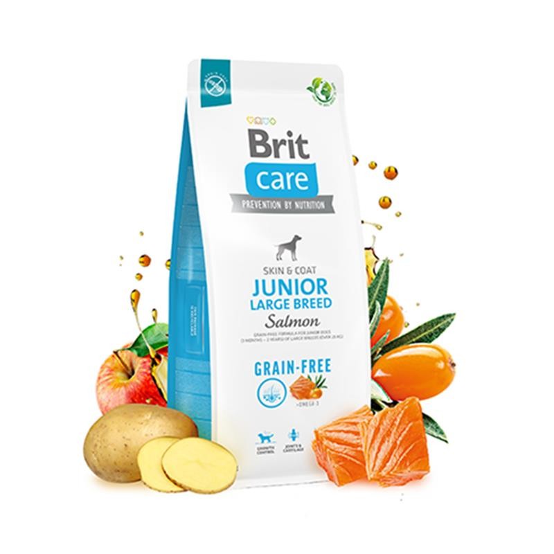 Brit Care Tahılsız Skin & Coat Somonlu Büyük Irk Yavru Köpek Maması