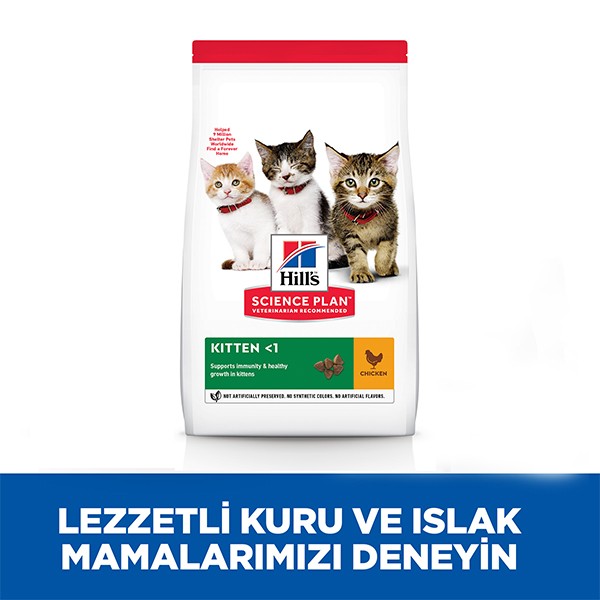 Hills Kitten Tavuklu Yavru Kedi Maması