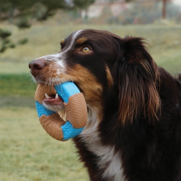 Kong Core Strength Halka Şeklinde Köpek Oyuncağı