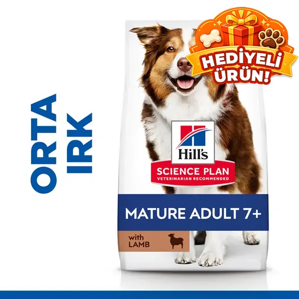 Hills Mature Senior +7 Medium Orta Irk Kuzu Etli Yaşlı Köpek Mamasi