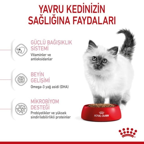 Royal Canin Kitten Yavru Kedi Maması