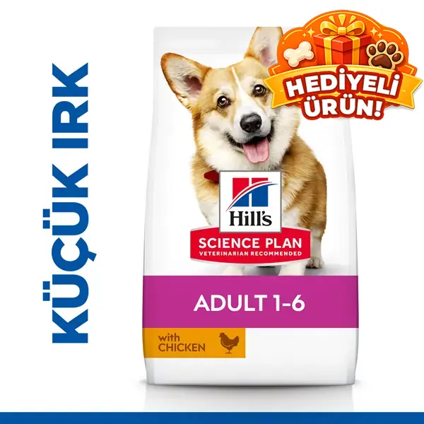 Hills Science Plan Köpek Maması: Detaylı İnceleme ve Gerçek Yorumlar 