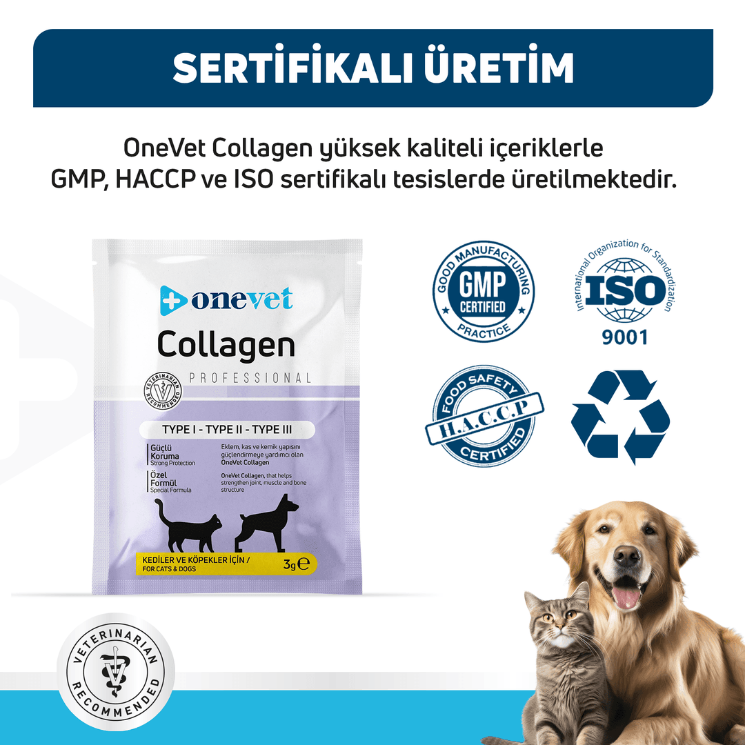OneVet Collagen Kedi ve Köpekler için Eklem ve Kas Destekleyici Saşe