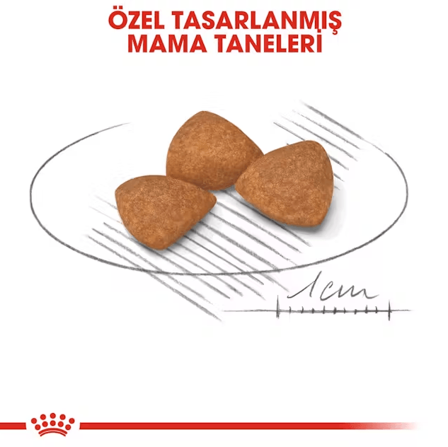 Royal Canin Xsmall Ageing +12 Yaş için Köpek Maması