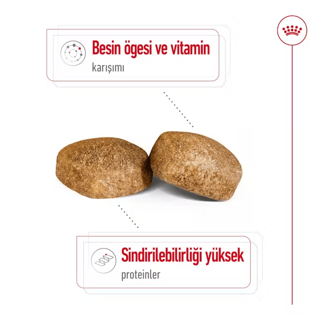 Royal Canin Giant Adult Dev Irk Yetişkin Köpek Maması