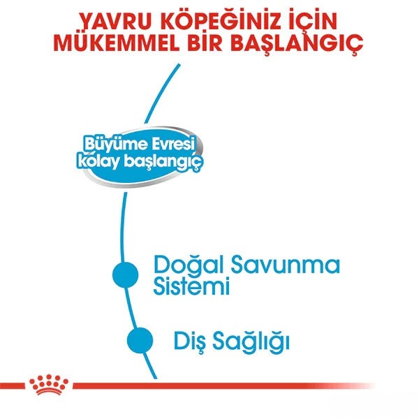 Royal Canin Starter Mousse Yavru Konserve Köpek Maması