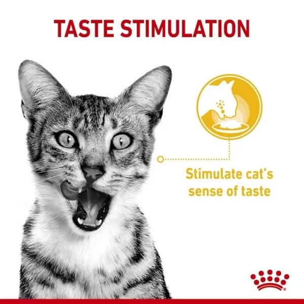 Royal Canin Sensory Taste Pouch Yetişkin Konserve Kedi Maması