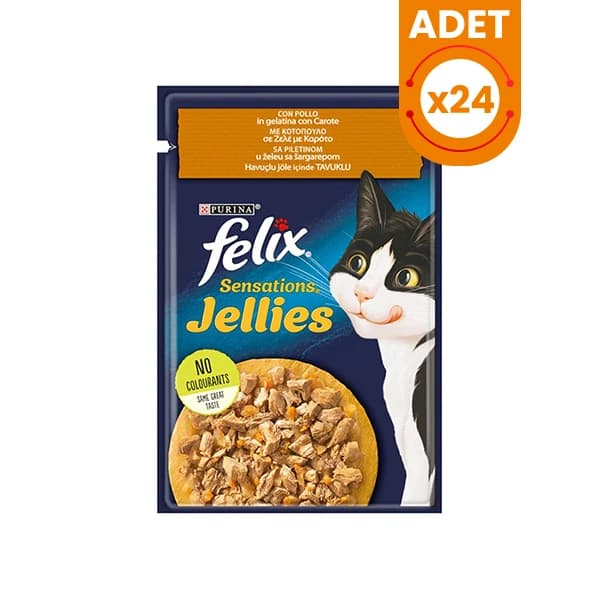 Felix Adult Chicken with Fresh Carrot in Jelly Wet