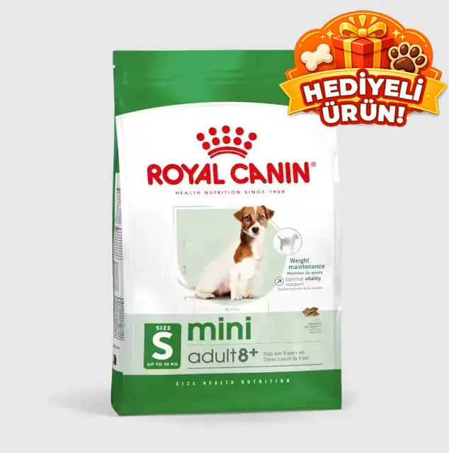 Royal Canin Mini Adult 8+ Küçük Irk Yaşlı Köpek Maması