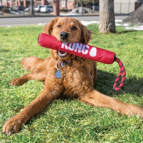 Kong Signature Stick Çubuk Şeklinde İp Detaylı Köpek Oyuncağı