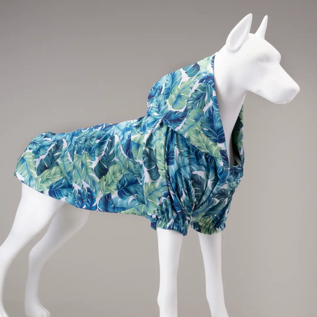 Lindo Dogs Aksesuarlarıyla Köpek Sorunlarına Pratik Çözümler 