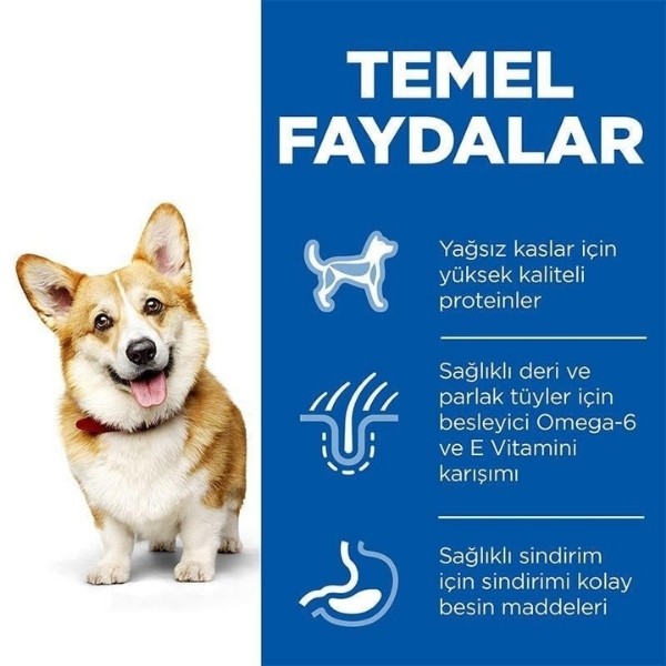 Hills Small & Mini Adult Tavuklu Köpek Maması