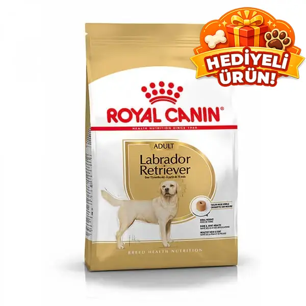 Royal Canin Labrador Retriever Yetişkin Köpek Maması
