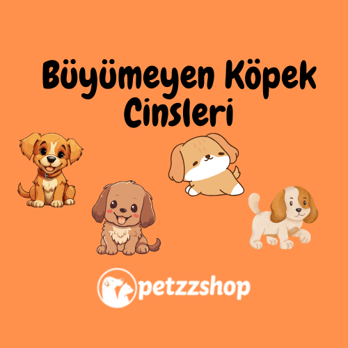 Büyümeyen Köpek Cinsleri