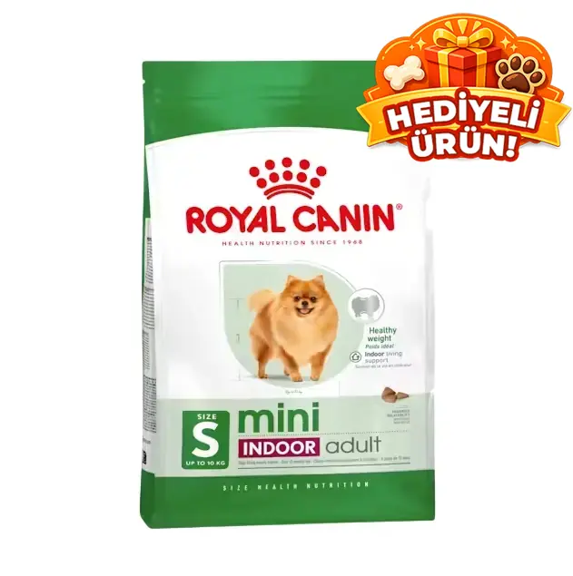 Royal Canin Mini İndoor Adult Yetişkin Köpek Maması