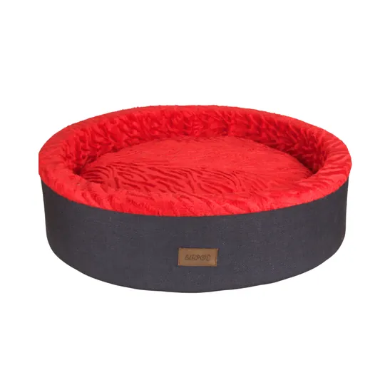 Chihuahua İçin En İyi Aksesuarlar: Satın Alma Rehberi 