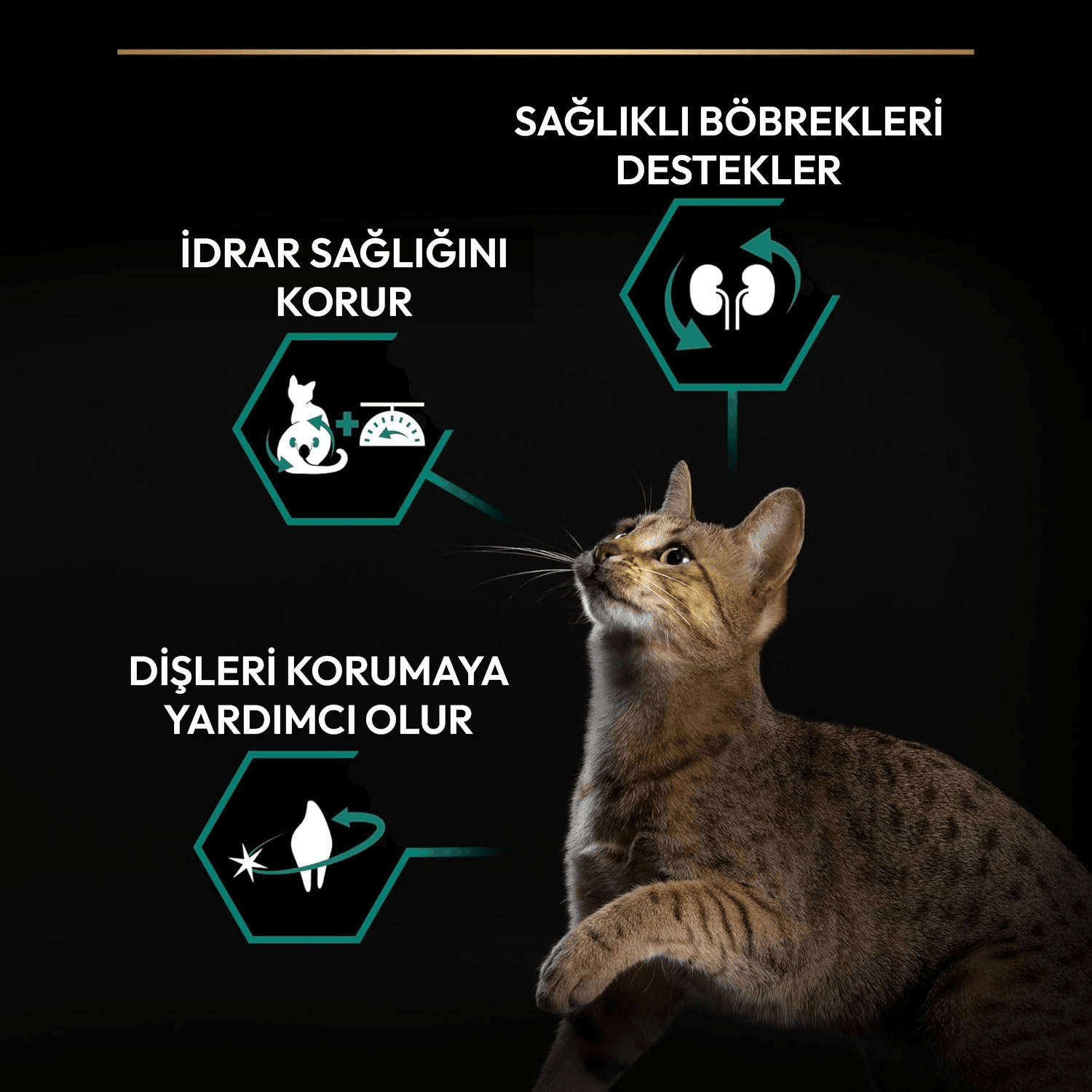 Pro Plan Sterilised Hindili Kısırlaştırılmış Kedi Maması