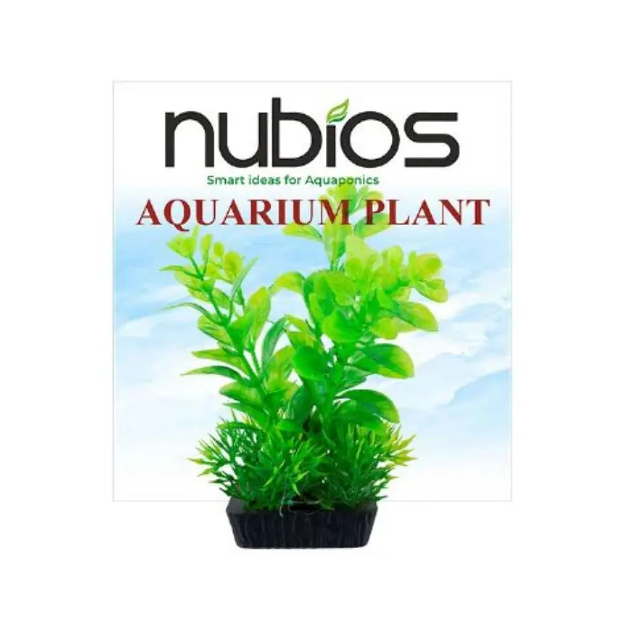 Nubios Kare Tabanlı Plastik Bitki